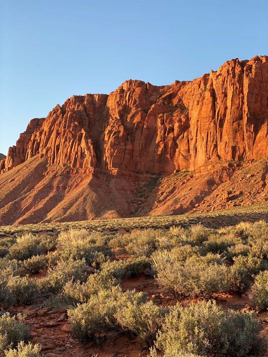 PGA Tour Heads Back To Utah
